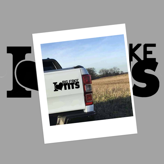 I Love Big Fake Tits