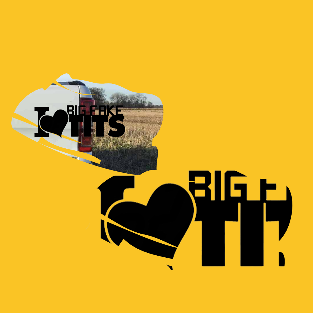 I Love Big Fake Tits