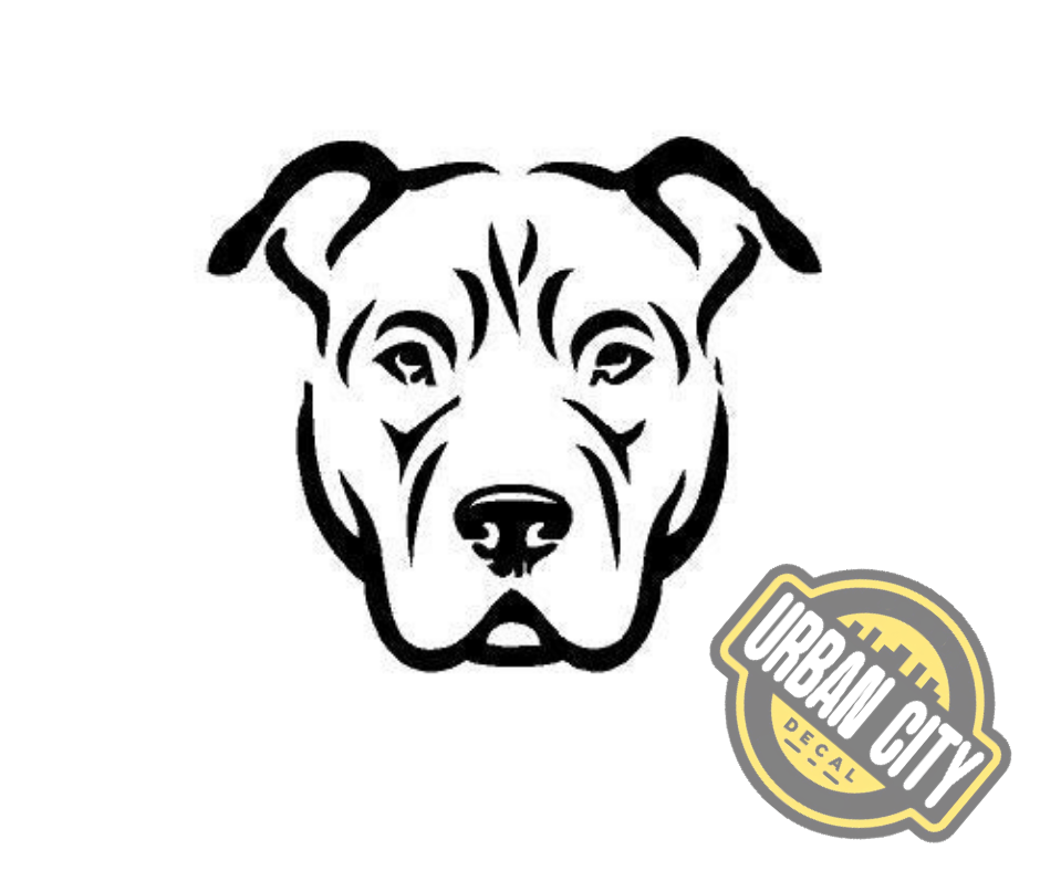 Pit Bull