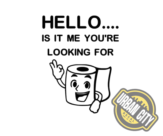 Hello Is It Me You're Looking For ?