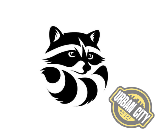 Racoon