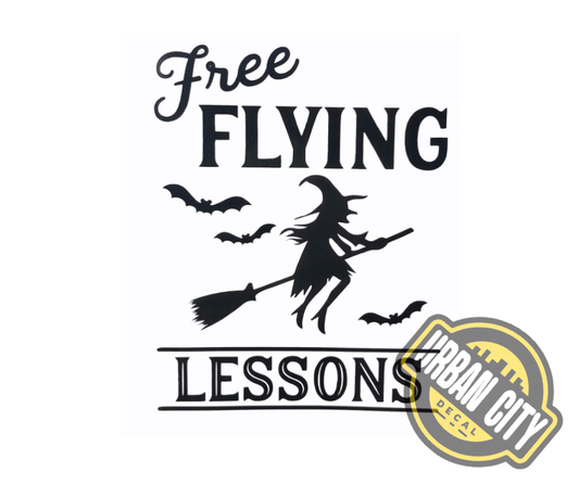 Free Flying Lessons