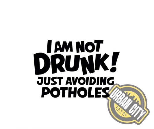 I Am Not Drunk ! Just Avoiding Potholes