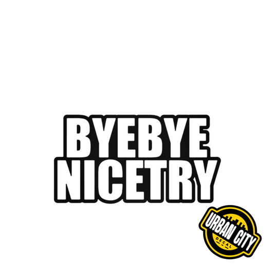 Bye Bye Nice Try