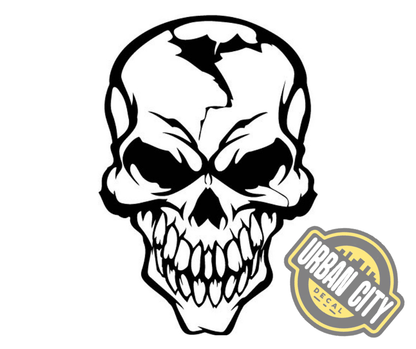Skull