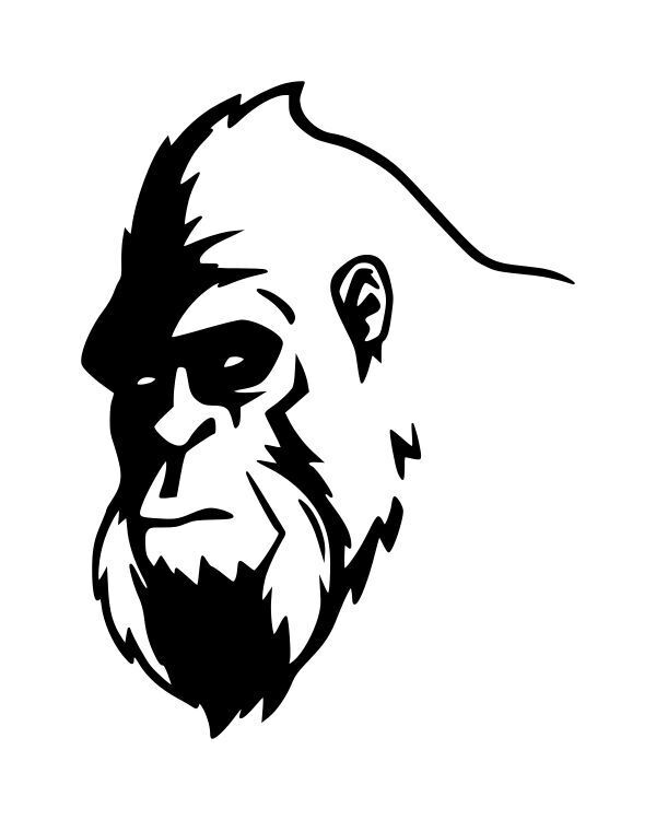 Big Foot Face