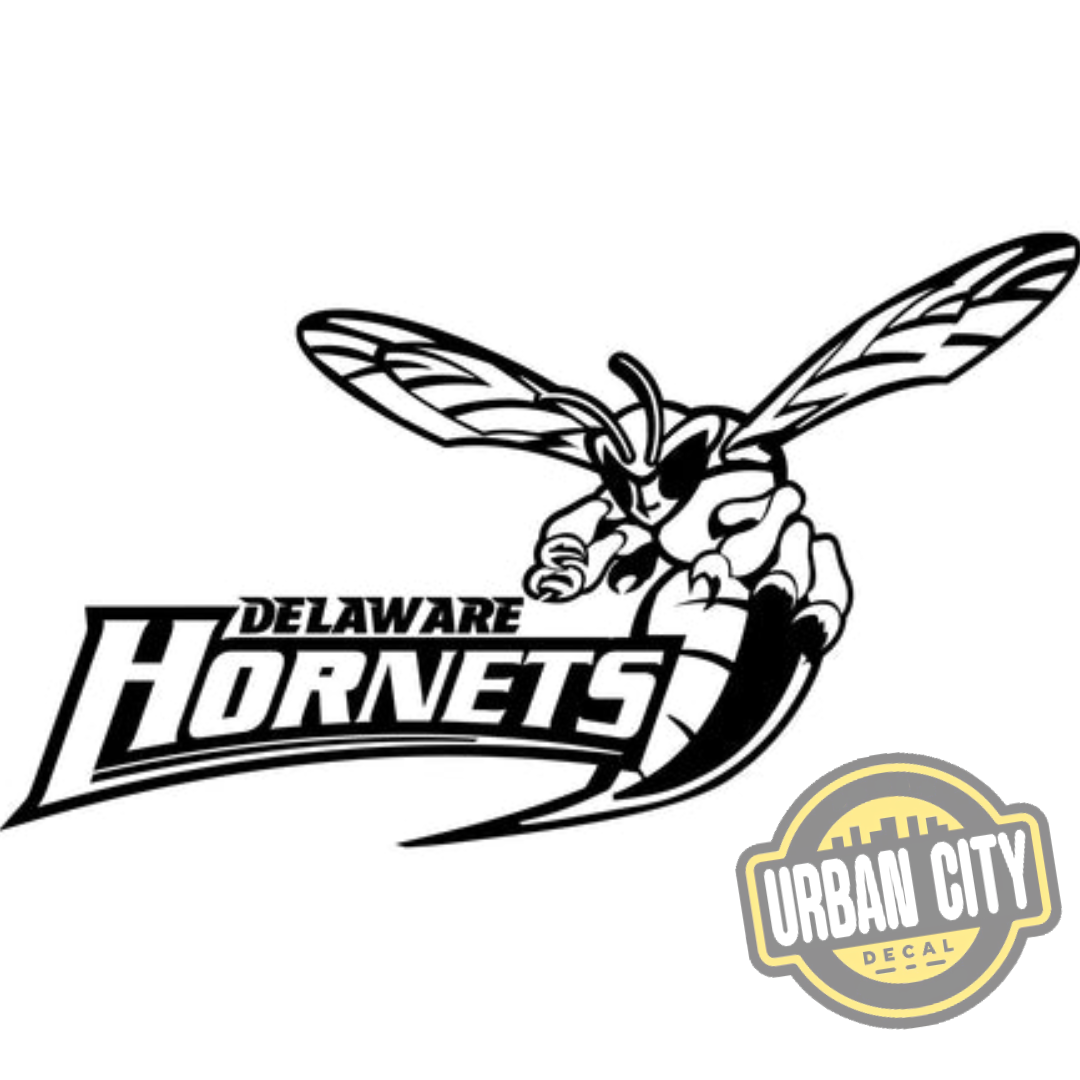 Delaware Hornets