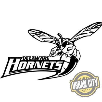Delaware Hornets