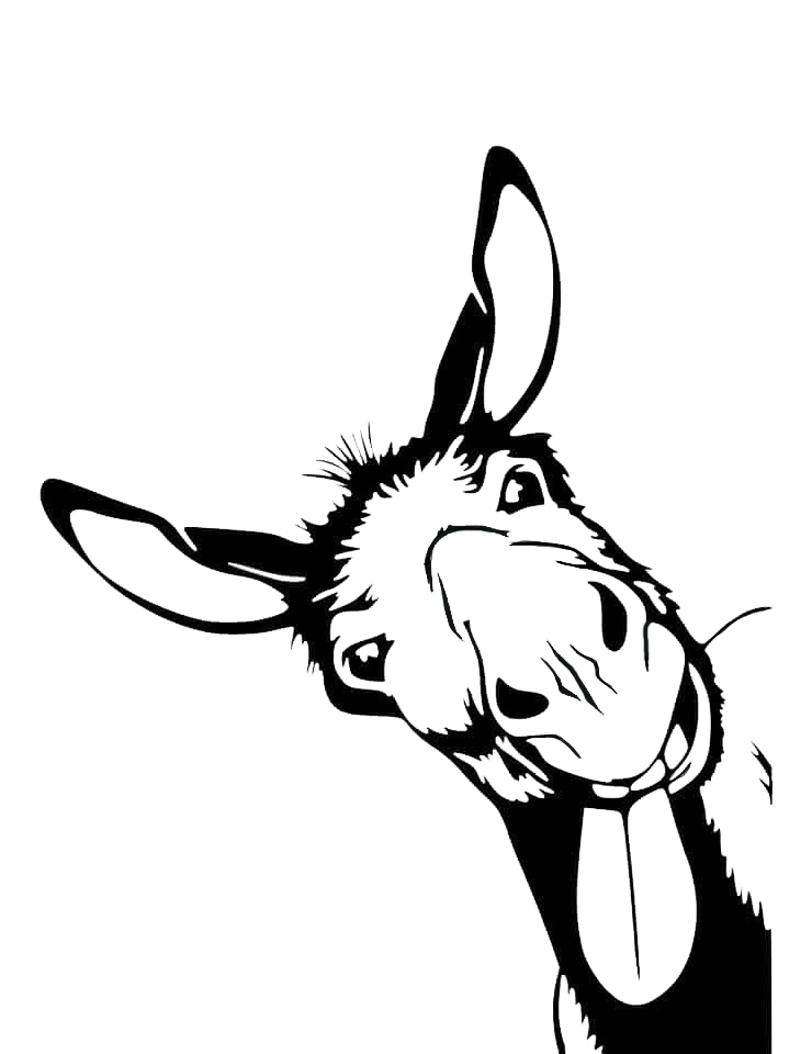 Donkey