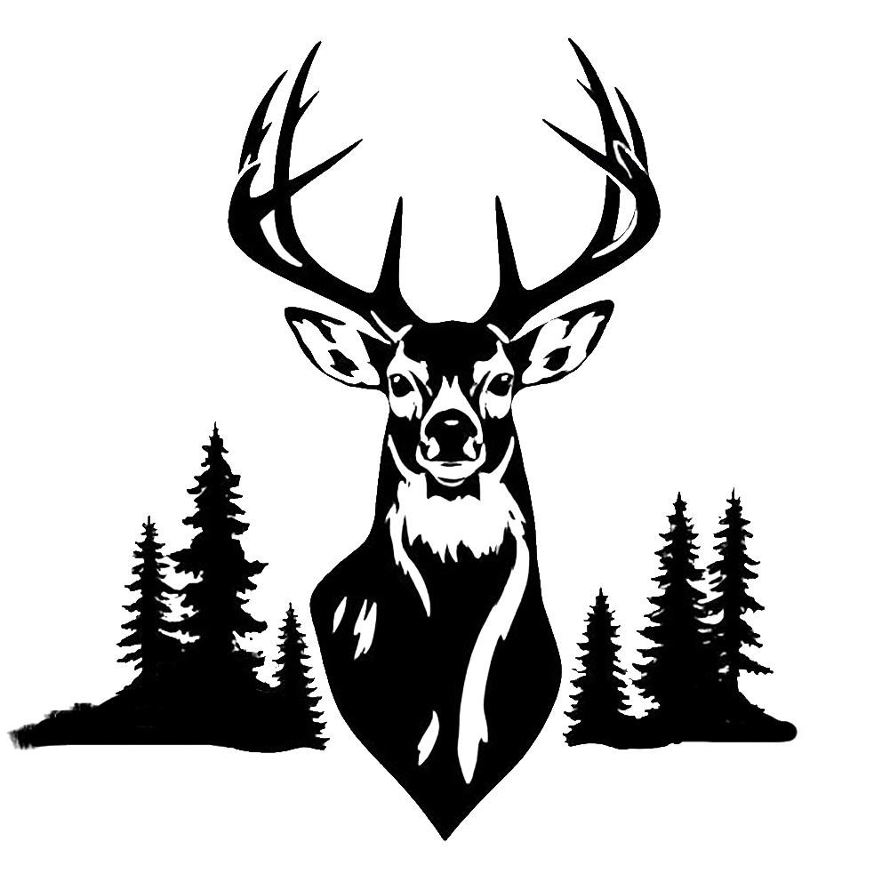 Black and white deer with large antlers standing in front of a forest of evergreen trees