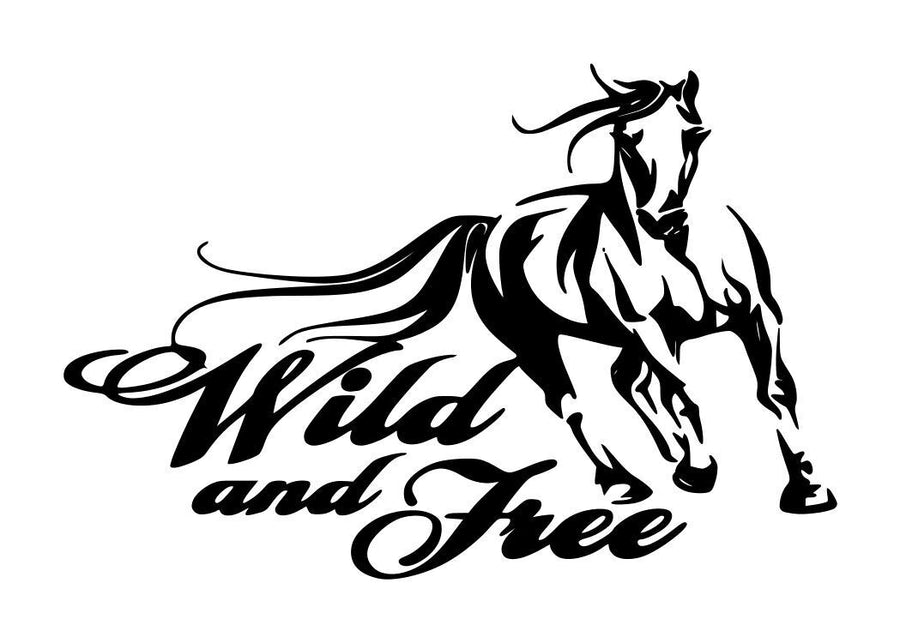 Horse Wild And Free
