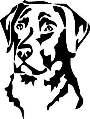 Labrador