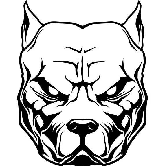 Black and white front-facing pitbull dog face illustration with pointed ears and a strong, intense expression.
