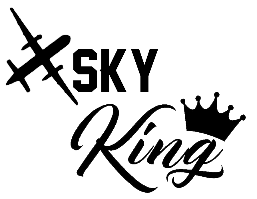 Black Sky King decal featuring a vintage airplane silhouette, crown, and stylized script lettering.