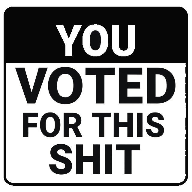 Black decal with bold white text reading “You Voted For This Shit.”