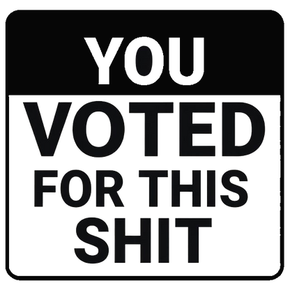 Black decal with bold white text reading “You Voted For This Shit.”