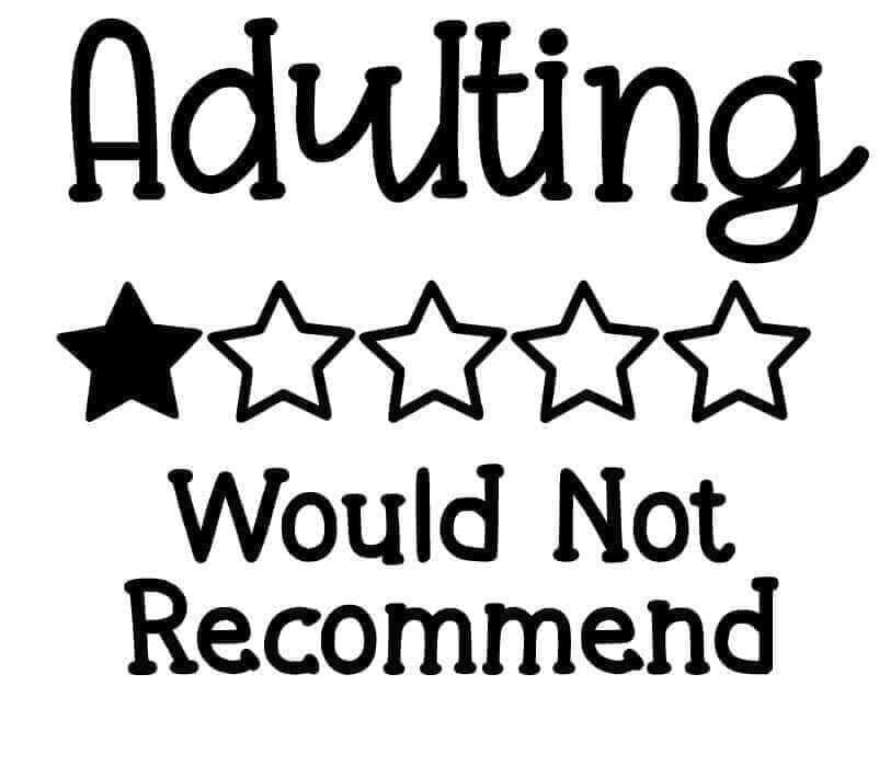 Adulting would not recommend