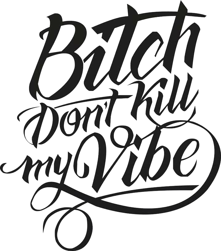 Bitch Don't Kill My Vibe