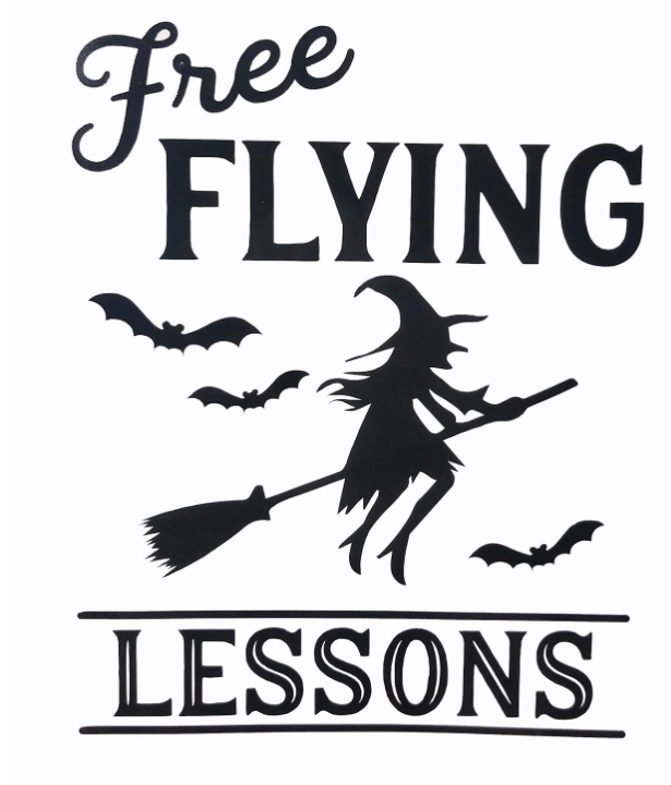 Free Flying Lessons