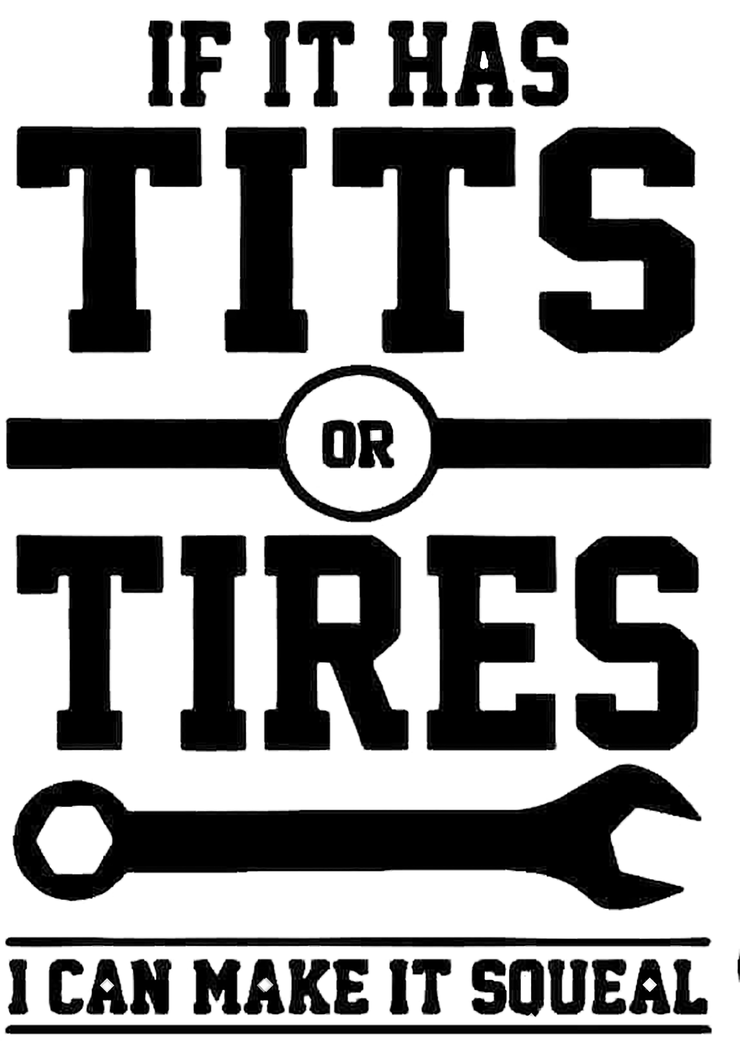 If It Has Tits Or Tires