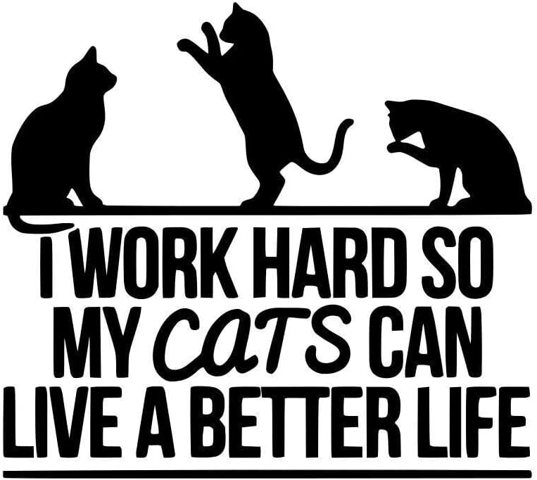 I Work Hard So My Cat Can Live A Better Life