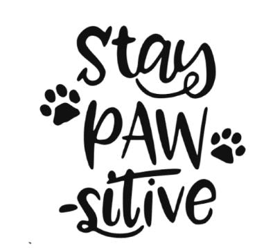 Black lettering decal that says “Stay Paw Sitive,” decorated with four paw prints.